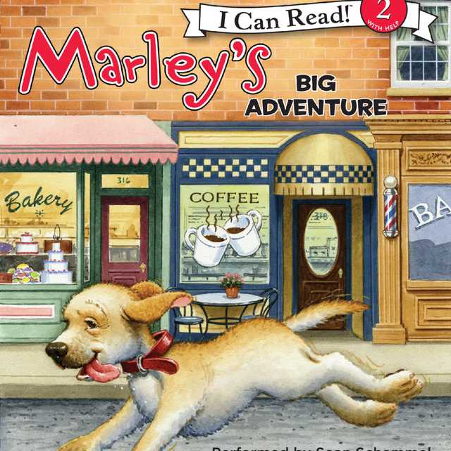 Marley: Marley’s Big Adventure