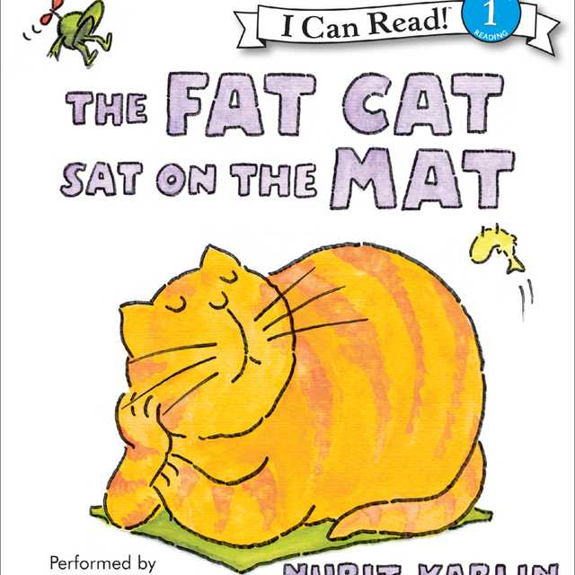 The Fat Cat Sat on the Mat