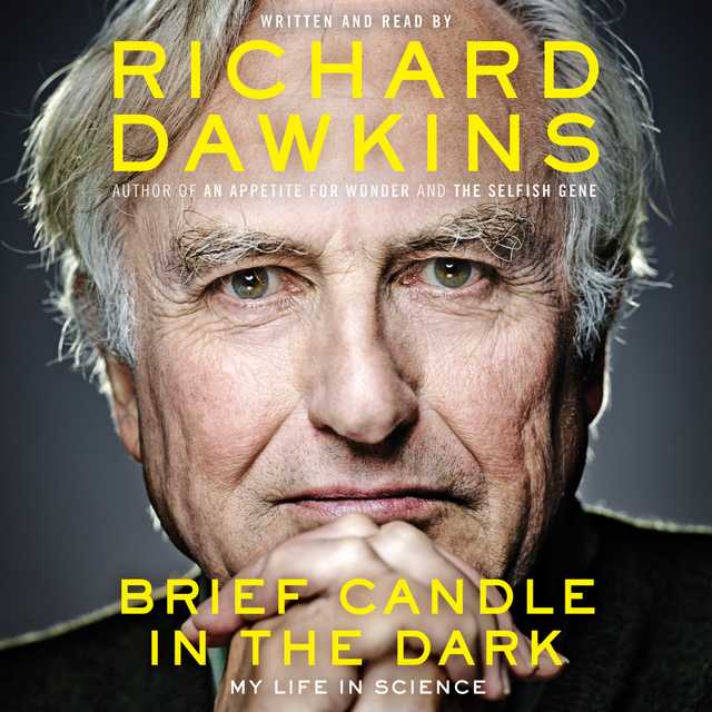 Brief Candle in the Dark