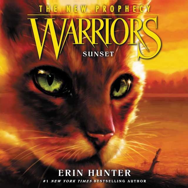 Warrior Cats Series 2 The New Prophecy by Erin Hunter 6 Books Set