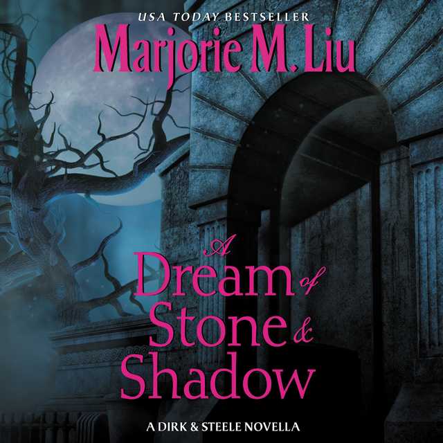 A Dream of Stone & Shadow
