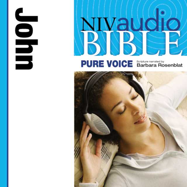 Pure Voice Audio Bible – New International Version, NIV (Narrated by Barbara Rosenblat): (04) John
