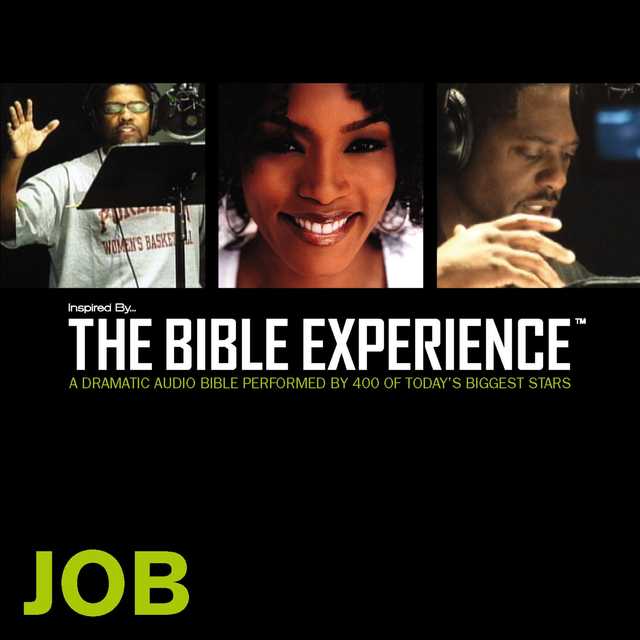 Inspired By … The Bible Experience Audio Bible – Today’s New International Version, TNIV: (17) Job
