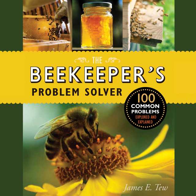 The Beekeeper’s Problem Solver