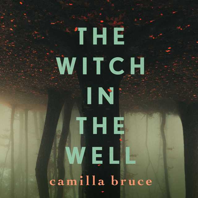 The Witch In The Well