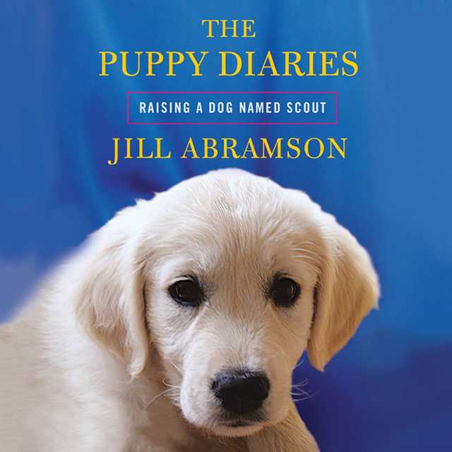 The Puppy Diaries