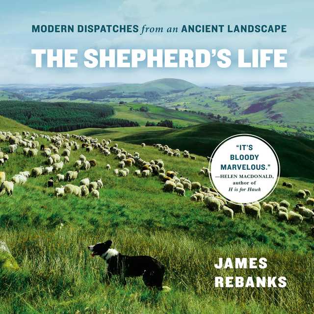 The Shepherd’s Life