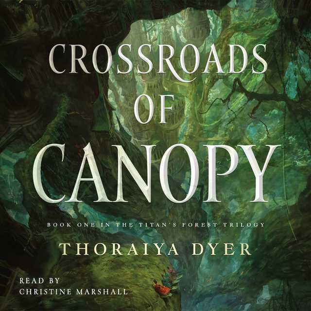 Crossroads of Canopy