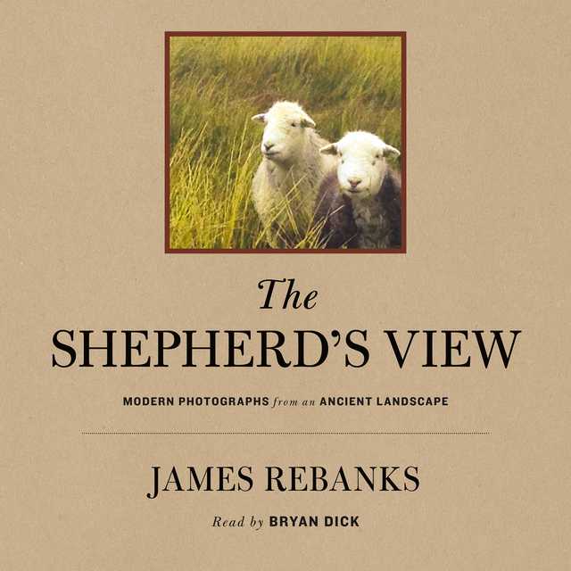 The Shepherd’s View