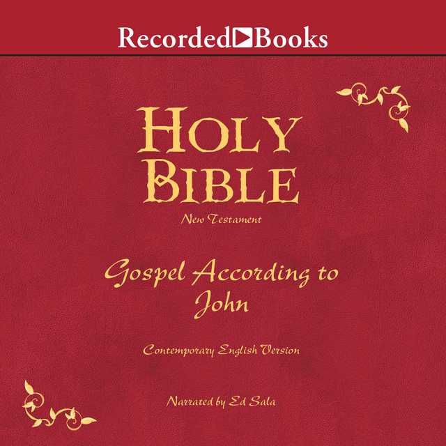 Holy Bible Gospel According To John Volume 25
