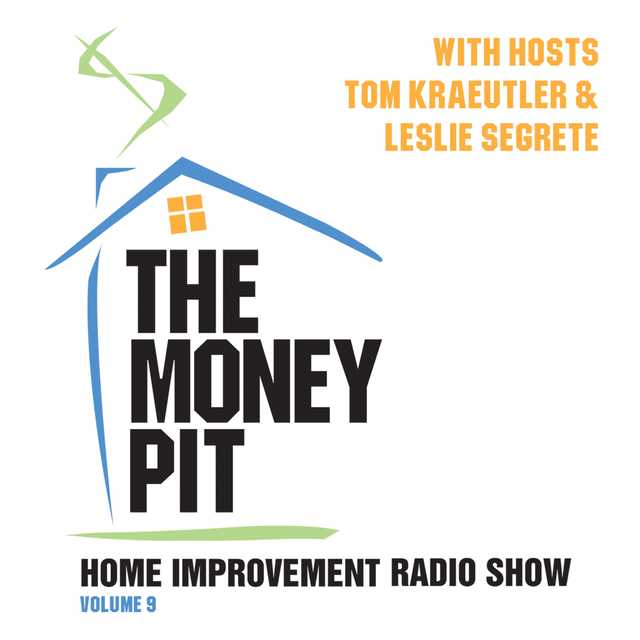 The Money Pit, Vol. 9