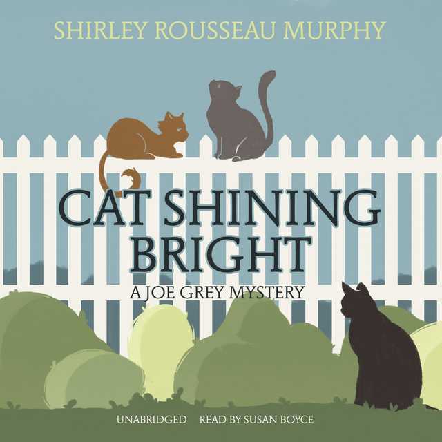 Cat Shining Bright