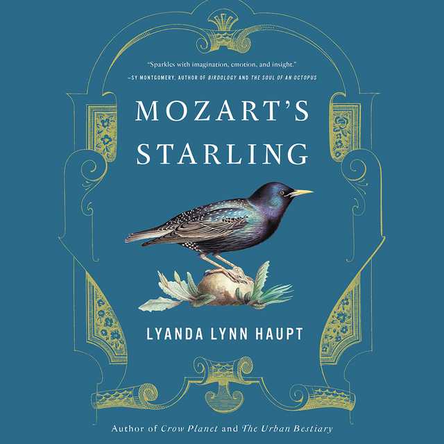 Mozart’s Starling