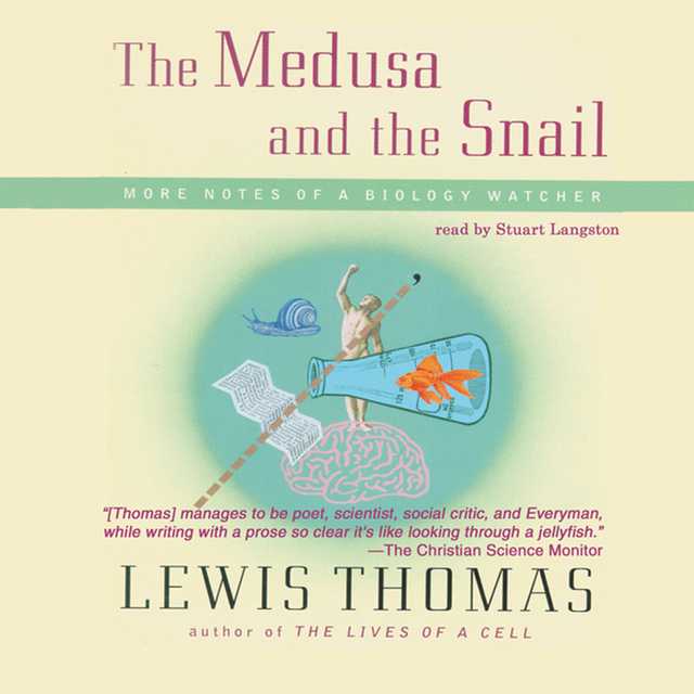 The Medusa and the Snail