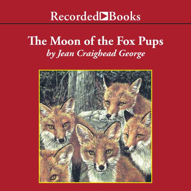 The Moon of the Fox Pups