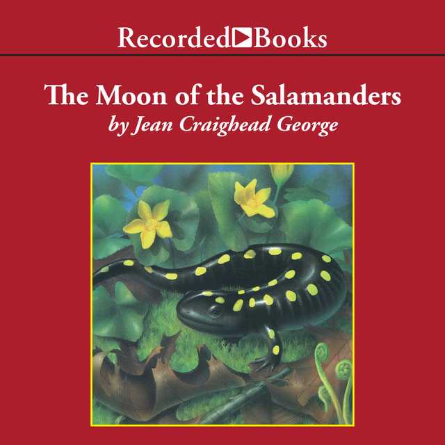The Moon of the Salamanders