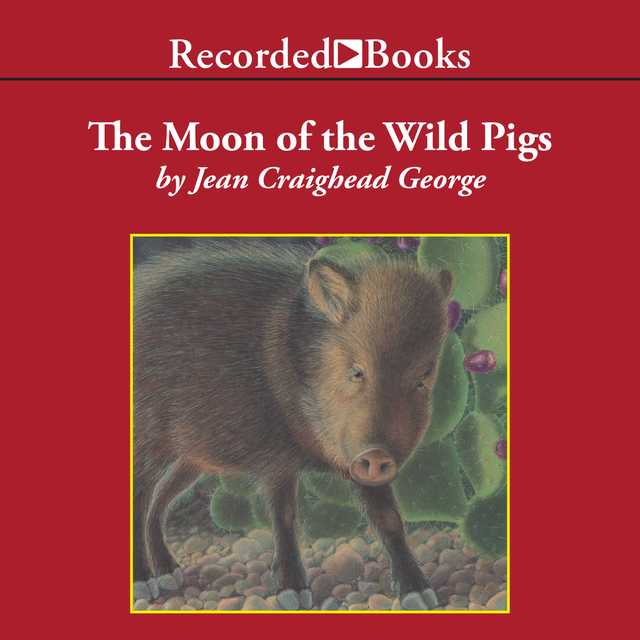 The Moon of the Wild Pigs