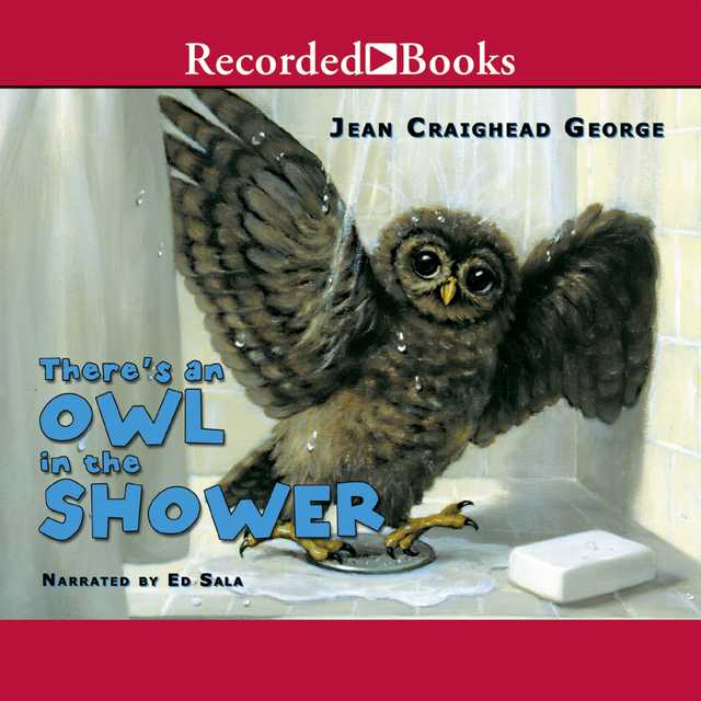 There’s an Owl in the Shower