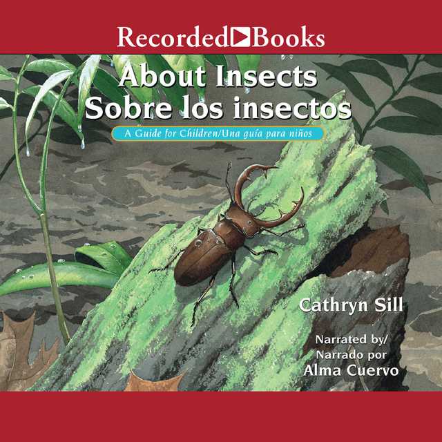 About Insects/Sobre los insectos