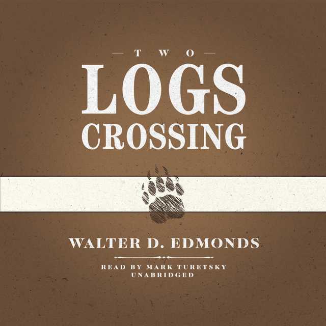 Two Logs Crossing