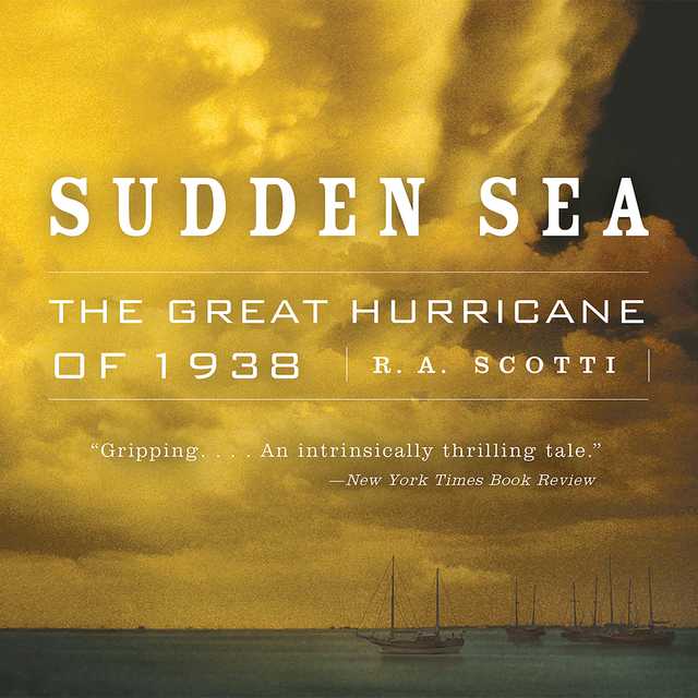 Sudden Sea