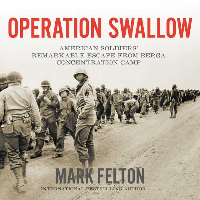 Operation Swallow