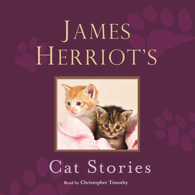 James Herriot’s Cat Stories