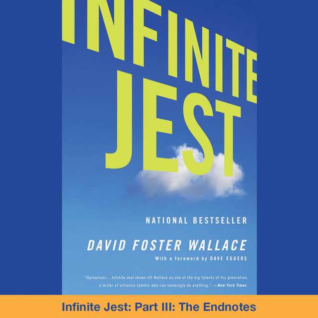 Infinite Jest Part III: The Endnotes