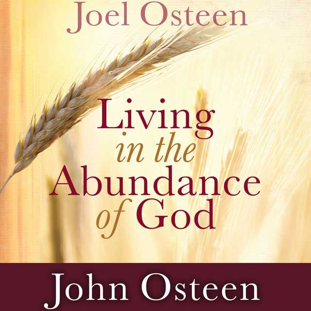 Living in the Abundance of God
