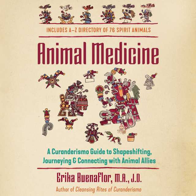 Animal Medicine