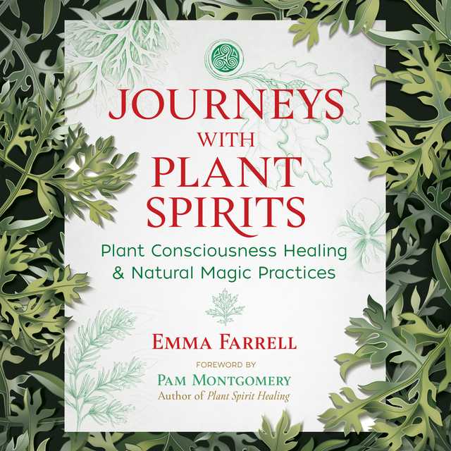 Journeys with Plant Spirits