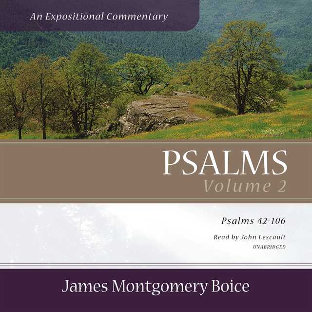 Psalms: An Expositional Commentary, Vol. 2