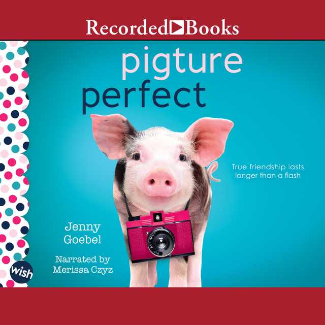 Pigture Perfect