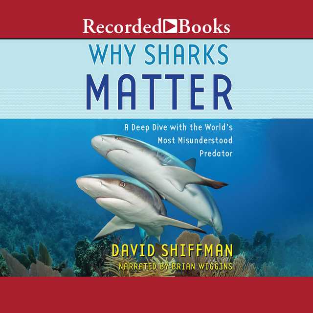 Why Sharks Matter