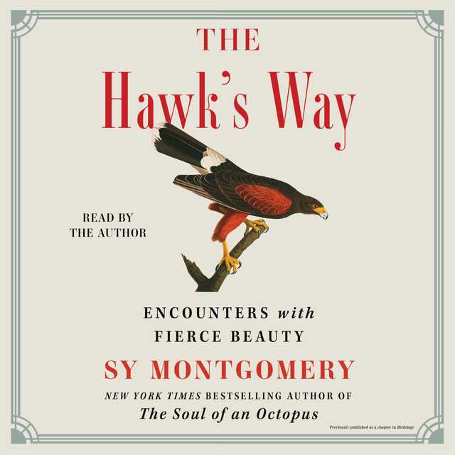 The Hawk’s Way