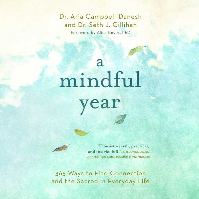 A Mindful Year