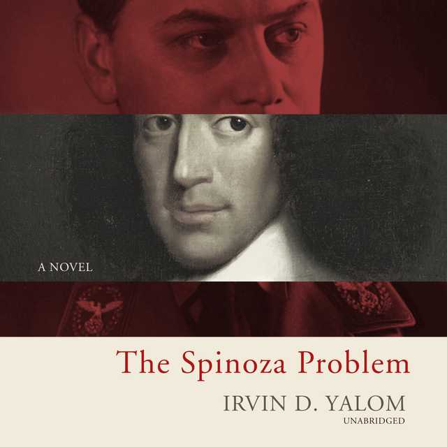 The Spinoza Problem