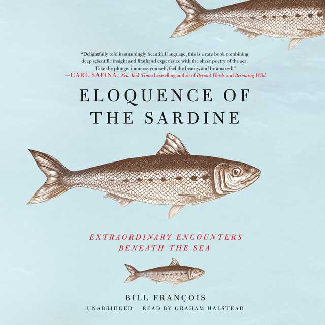 Eloquence of the Sardine