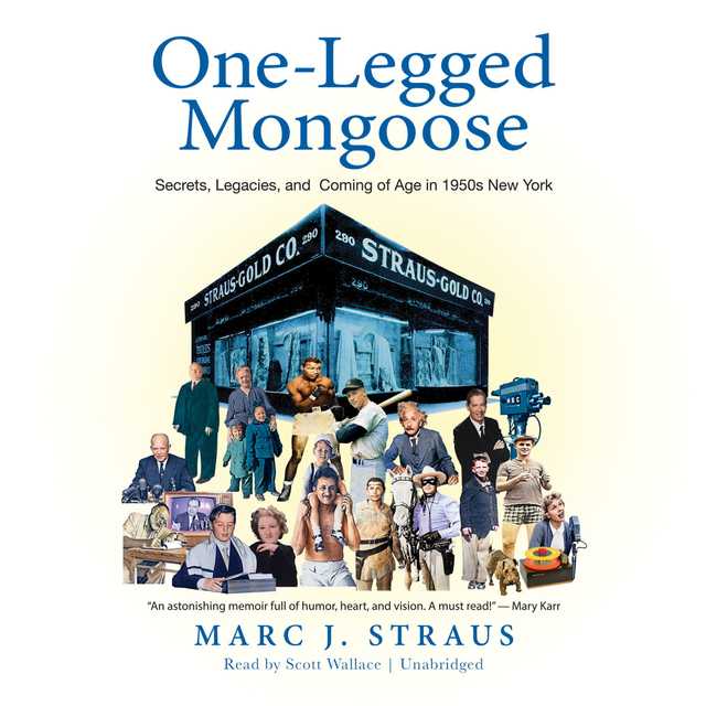 One-Legged Mongoose