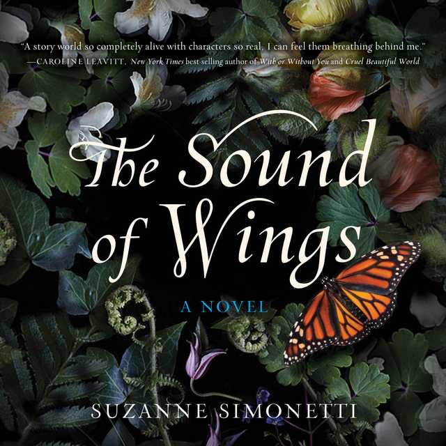 The Sound of Wings