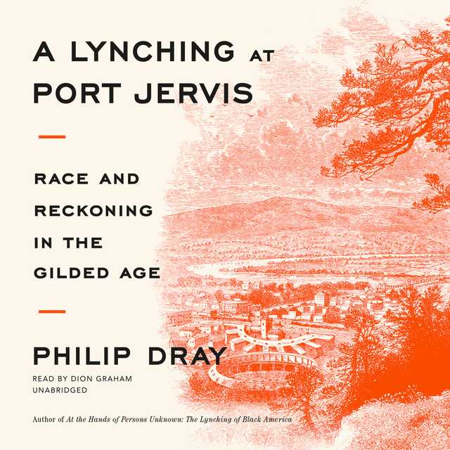 A Lynching at Port Jervis