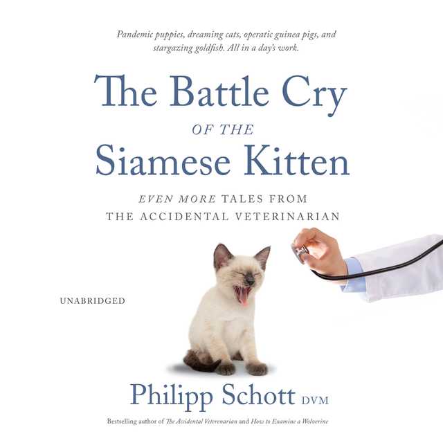 The Battle Cry of the Siamese Kitten
