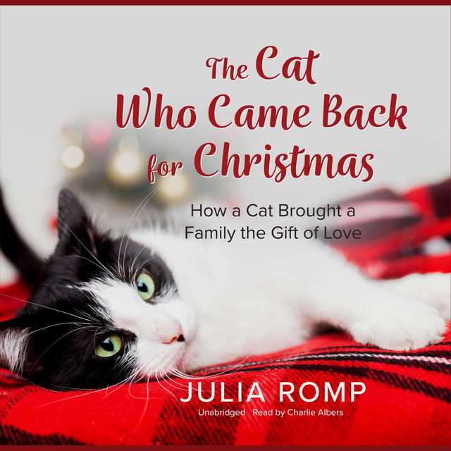 The Cat Who Came Back for Christmas