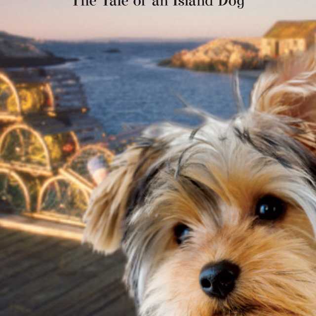 Tango: The Tale of an Island Dog