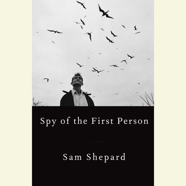 Spy of the First Person