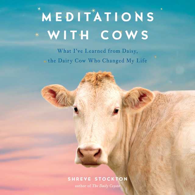 Meditations with Cows