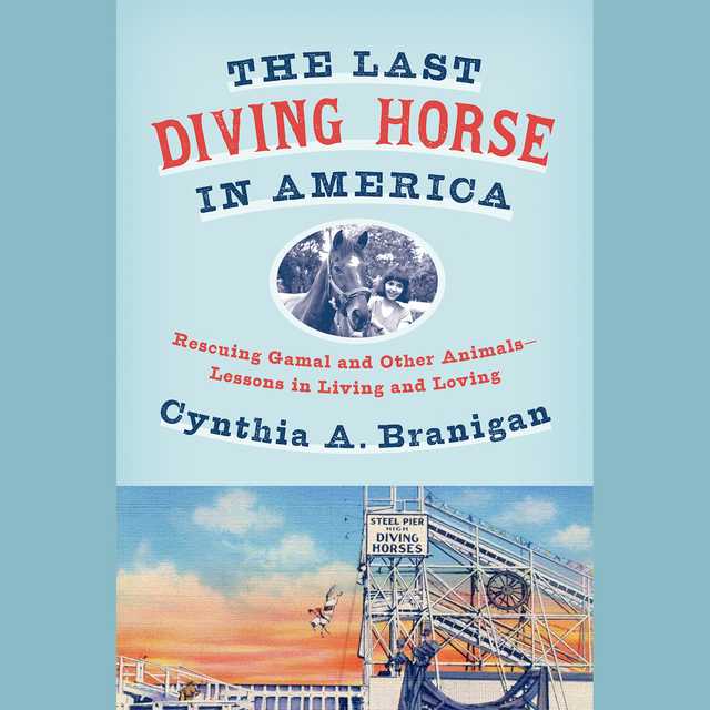 The Last Diving Horse in America