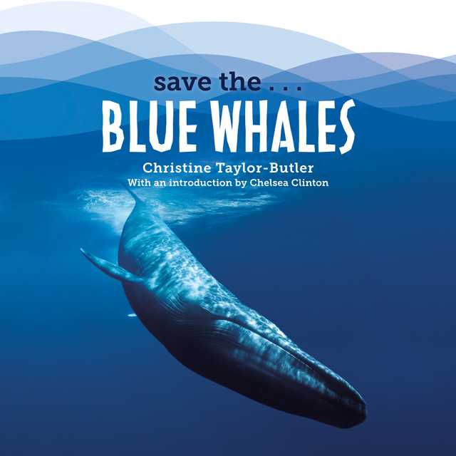 Save the…Blue Whales