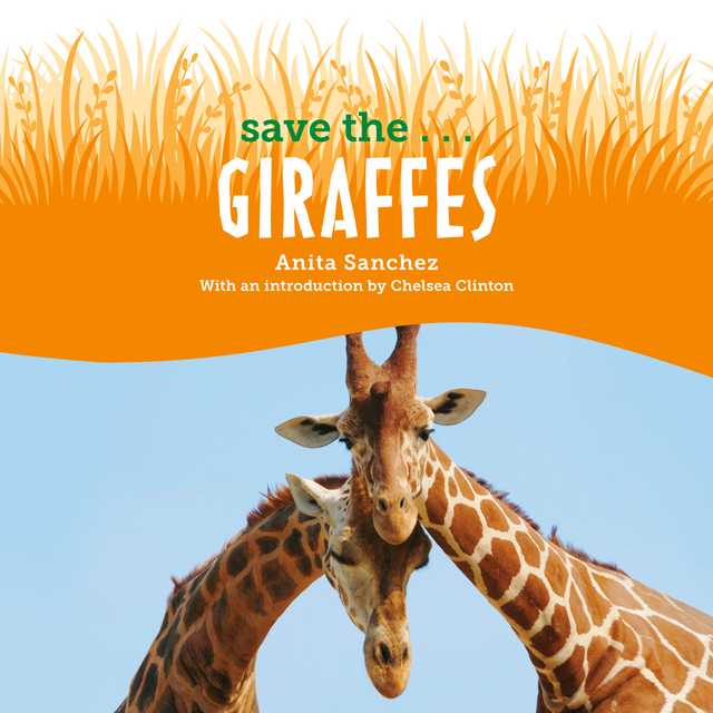 Save the…Giraffes
