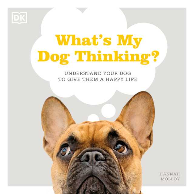 What’s My Dog Thinking?
